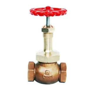 Qinn GUN METAL GLOBE VALVE